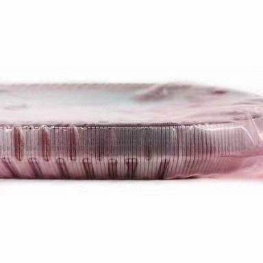 2KG JF017E RE0F10D กล่องเกียร์โซ่เข็มขัดสําหรับ TEANA X Trail QASHQAI 901074 901089 901096